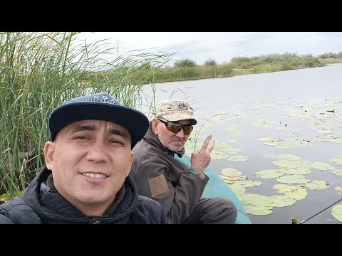 Видео: Рыбалка на щуку, спиннинг 🎣🏕️ Актобе(саралжин)