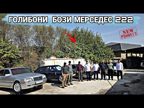 Видео: ГОЛИБОНИ  БОЗИ МЕРСЕДЕС 222 
