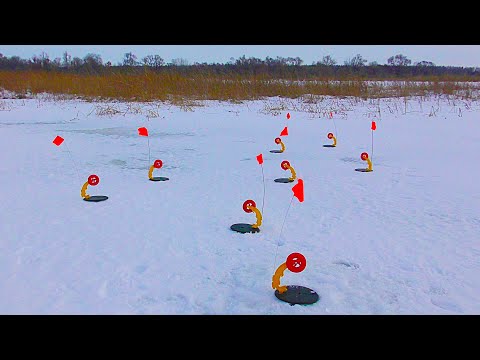 Видео: ОСТАВИЛИ ЖЕРЛИЦЫ НА НОЧЬ И...!!! УТРОМ БЫЛИ В ШОКЕ ОТ УВИДЕННОГО!!!