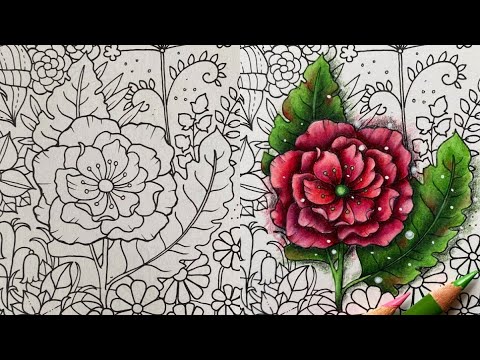 Видео: Процесс раскрашивания Johanna Basford World of Flowers