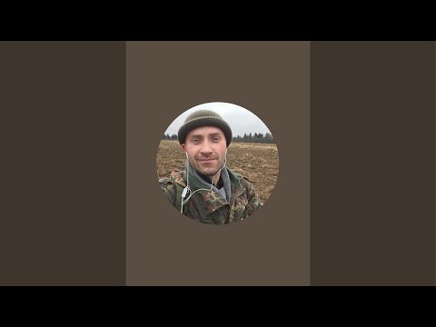 Видео: Охота на вяхиря🐦 вяхирь в поле 🌅