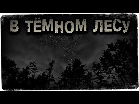 Видео: Истории на ночь: В тёмном лесу