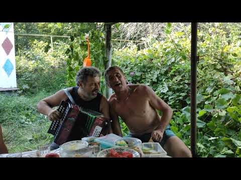 Видео: Товпижин 2019