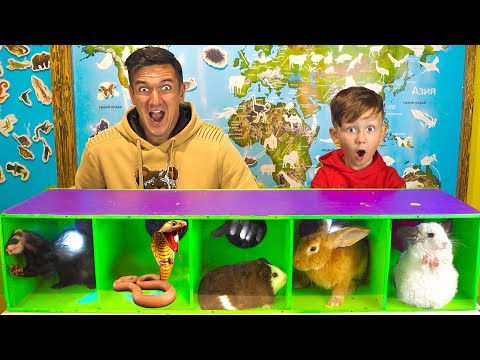 Видео: ЧЕЛЛЕНДЖ Что в КОРОБКЕ Настоящие Животные против Наших РУК! Сеня НАЩУПАЛ ЗМЕЮ и она УКУСИЛА?