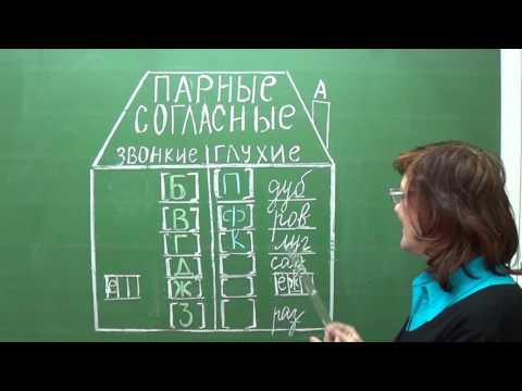 Видео: Парные согласные