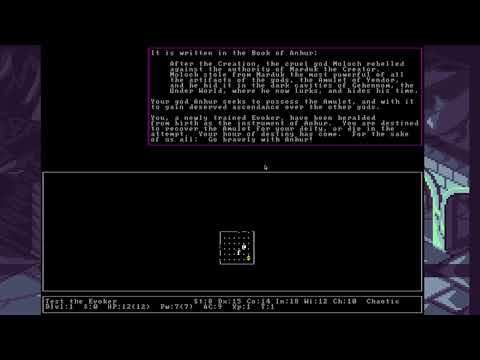 Видео: О рогаликах на примере NetHack.