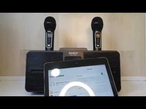 Видео: Обзор Портативной беспроводной караоке колонки SDRD 309 с двумя микрофонами