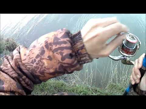 Видео: с. Садовое, Ставропольский край