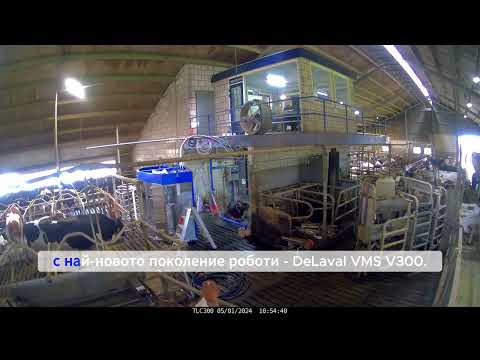 Видео: Най-старата система за роботизирано доене DeLaval VMS в света VMS Classic е сменена с VMS V300
