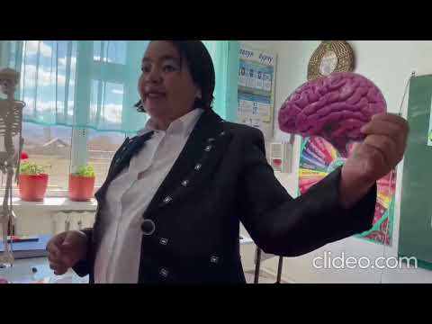 Видео: Ачык сабак Биология 8-класс