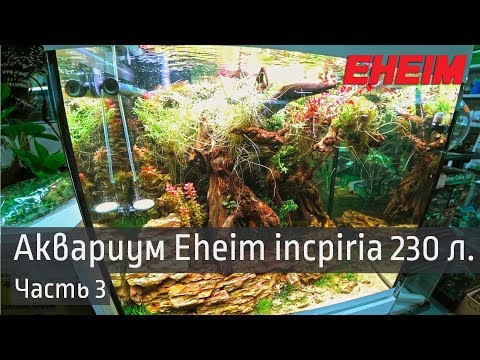 Видео: Аквариум 230 л.  Eheim incpiria.  Часть 3.  Система CO2, wifi модуль и доп. светильник.
