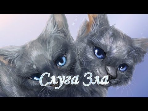 Видео: Коты Воители Клип "Слуга Зла" |Камень и Невидимка|🖤Black Cat𓃠