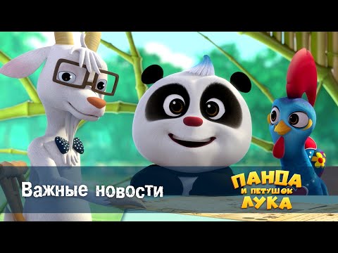Видео: Панда 🐼 и петушок Лука - Эпизод 14.Важные новости - Премьера мультфильма