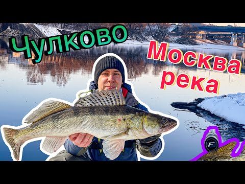 Видео: ЧУЛКОВО! МОСКВА РЕКА! РЫБАЛКА НА ЗАПРЕССОВАННОМ УЧАСТКЕ РЕКИ