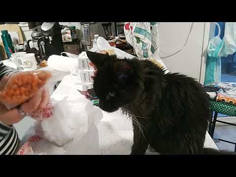 Видео: Маленькая распаковка 3 магазинов