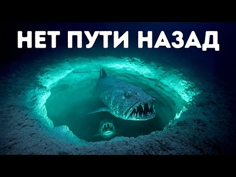 Видео: Мистические ловушки, найденные на дне Красного моря