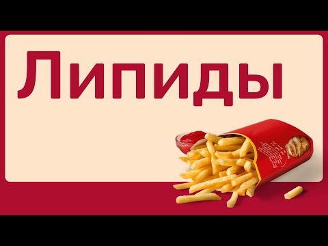 Видео: Цитология. Липиды.