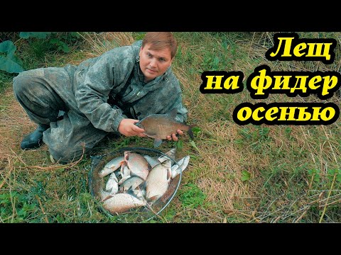 Видео: Ловля леща на реке в сентябре. Тактика, методы и приемы ловли