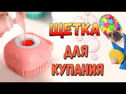 Видео: Реакция собаки на купание или нужна ли щетка для мытья собаки