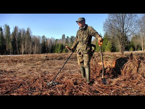 Видео: Не зря заглянул на старое урочище #458