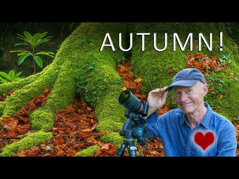 Видео: ОСЕНЬ УЖЕ ПРИШЛА, ВЫХОДИТЕ СЕЙЧАС!