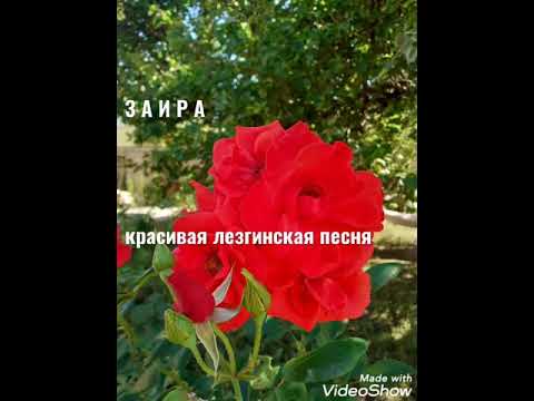 Видео: Рома Махсудов - Заира 2020 ( new version) Красивая лезгинская песня