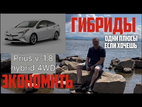 Видео: ГИБРИДЫ ИЗ ЯПОНИИ!!! УНИКАЛЬНЫЕ АВТО ИЛИ БОЛЬ?