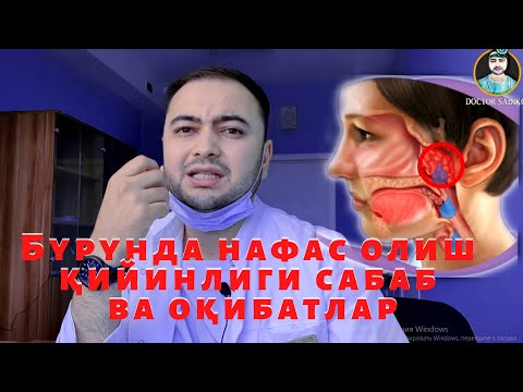 Видео: Бурундан нафас олиш қийинлиги сабаб ва оқибатлар
