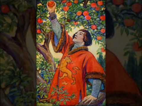 Видео: Королевич, который ничего не боялся. Братья Гримм, перевод с немецкого.