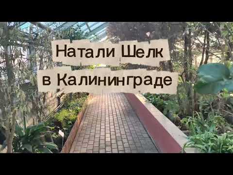 Видео: Переезд в Калининград.Пожалела ли я?Болталка в ботаническом саду