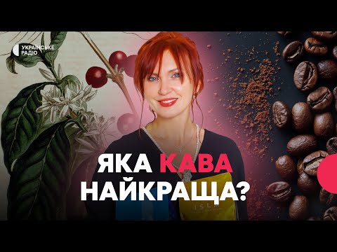 Видео: Арабіка, робуста чи суміш? | Як вода впливає на смак КАВИ? | Чому небезпечно вживати фальсифікат?