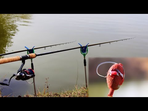 Видео: ЗИМЕН РИБОЛОВ на ШАРАНИ с МЕТОД ФИДЕР - METHOD FEEDER FISHING IN WINTER