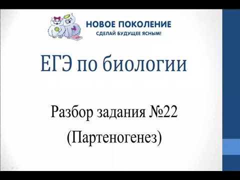 Видео: Биология. Разбор 22 заданий ЕГЭ по биологии на партеногенез