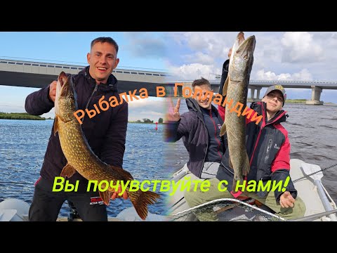 Видео: Рыбалка в Голландии: Судаки и гигантские щуки без конца!