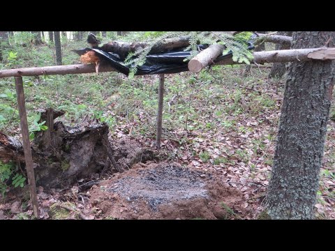 Видео: Какую осину предпочитают лоси? Почему? Изготовление порхалища от выбора места до изготовления крыши.