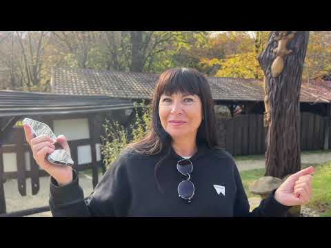 Видео: НОВЫЙ ПРОЕКТ в Сочи! Не проспи!