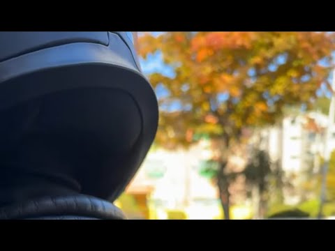 Видео: Осень🍁ты прекрасна #stream #korea #ansan #beautiful #autumn #jiyoo8515 