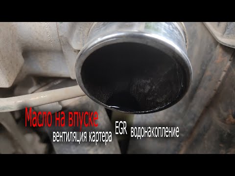 Видео: Масло на впуске. Вентиляция картера. EGR. Водонакопление.