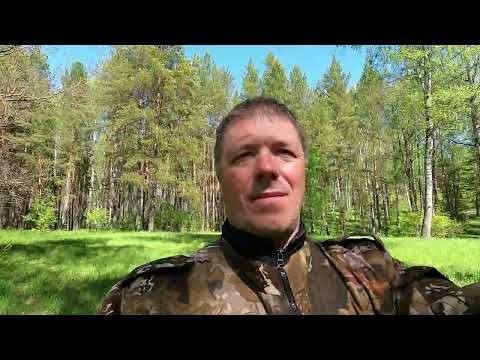 Видео: На мотоцикле по лесу в Ломах.