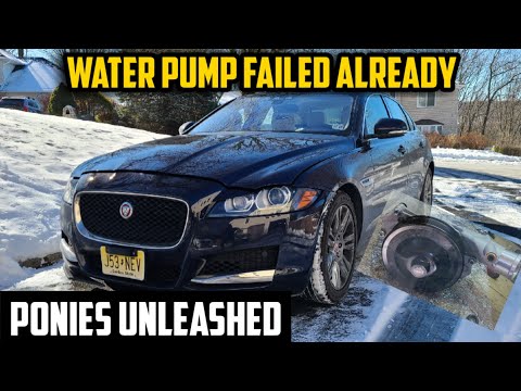 Видео: Замена водяного насоса на моем двигателе Jaguar XF 3.0l с турбонаддувом