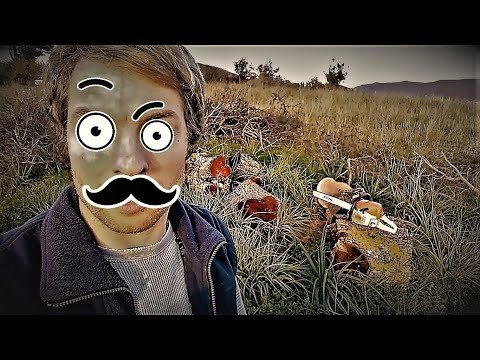 Видео: Жизнь в греческой деревне.  Строю столярную мастерскую. Часть 3