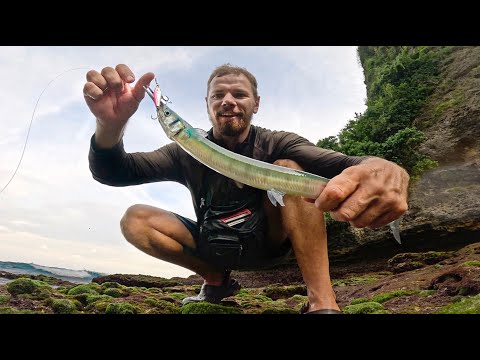 Видео: Поймай и приготовь саргана┃Рыбалка в тропической лагуне