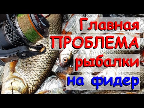 Видео: Решаем главную проблему рыбалки на фидер