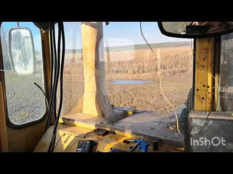 Видео: 1 ноября 2025 г.