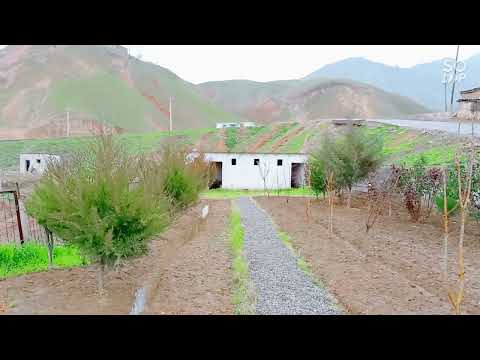 Видео: Масчити,дехаи, Сангтуда 1