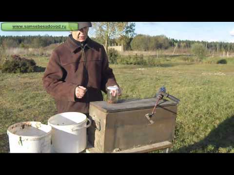 Видео: Стратификация семян и косточек