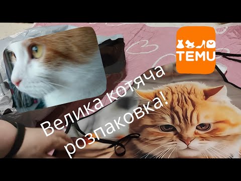 Видео: TEMU. Велика "котяча" розпаковка🐱 Чесний відгук на товари