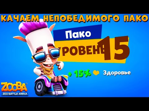Видео: КАЧАЕМ ТЮНИНГОВАНОГО АЛЬПАКУ ПАКО НА 15 УРОВЕНЬ В ИГРЕ ZOOBA
