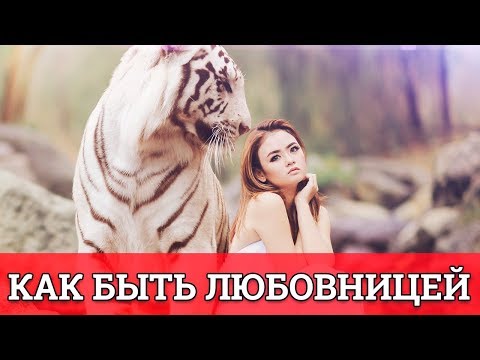 Видео: Как быть любовницей || Юрий Прокопенко