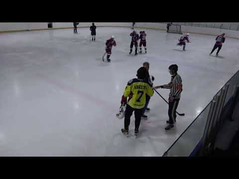Видео: Вымпел-Алмаз Kings RHL START